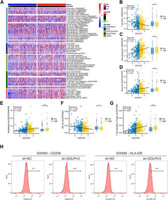 Upregulation of GOLPH3 mediated by Bisphenol a promotes colorectal cancer proliferation and migration: evidence based on integrated analysis